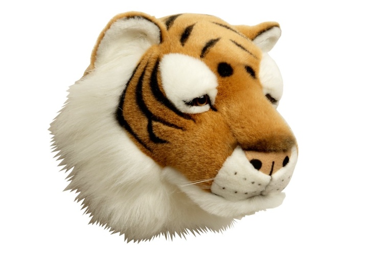 Troféhuvud Tiger