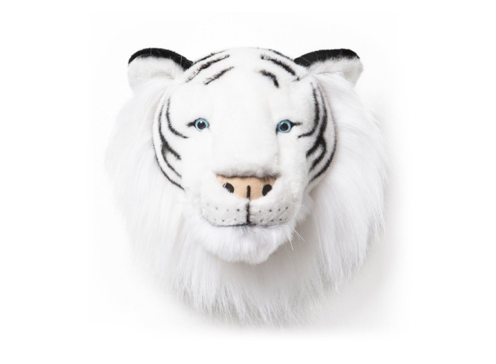 Troféhuvud vit tiger