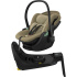 Thule Maple Connect Babyskydd + Bas i gruppen Bilbarnstolar / Varumärken / Thule hos Bonti (SET-THMPLBAS)