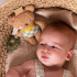 Taf Toys Aktivitetleksak Nallen Brendon i gruppen Leksaker / Babyleksaker / Aktivitetsleksaker hos Bonti (TATO5814)