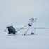 Thule Chariot XC Skidset i gruppen Barnvagnar / Varumärken / Thule / Thule Chariot hos Bonti (THUL20201402)